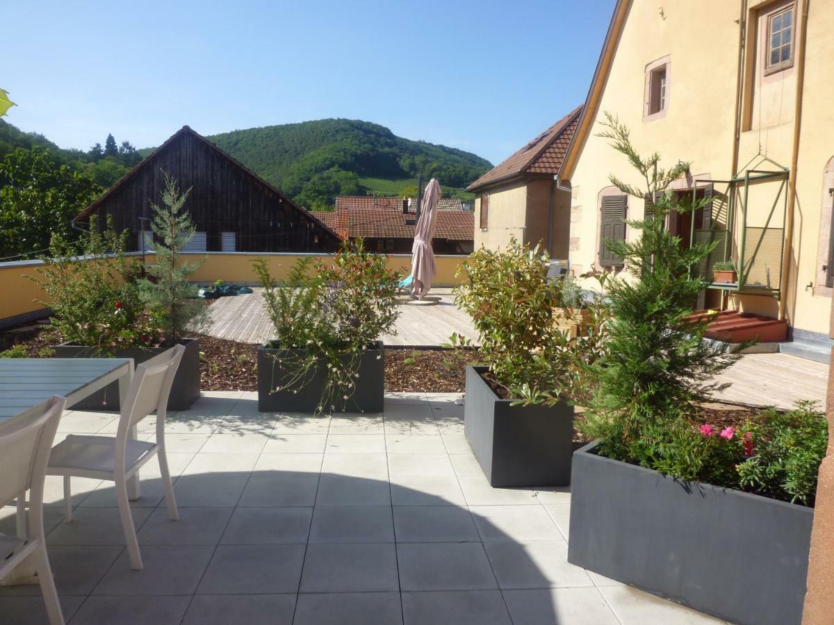 La Tete Au Soleil Apartment Soultzmatt Exterior photo